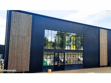 local professionnel 200m²