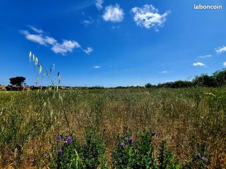 terrain 188 m² marseillan
