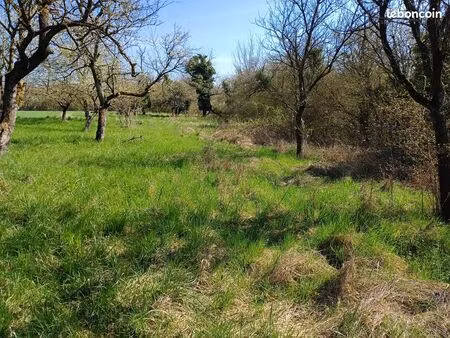 2 terrains de loisirs en zone agricole