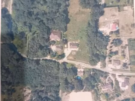 terrain de loisir  espace boisé