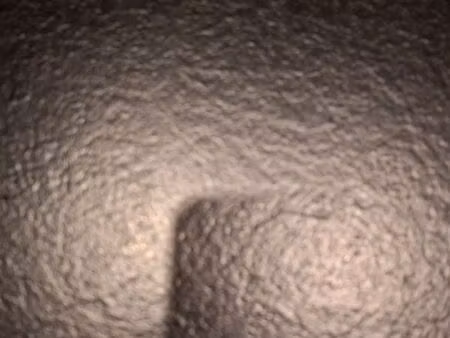 recherche maison location