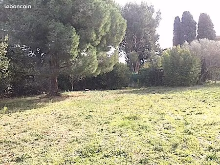 terrain constructible