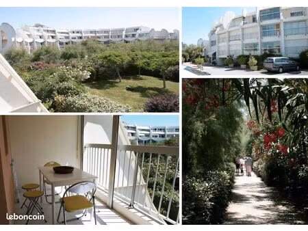 appartement 1 pièce cabine  la motte du couchant