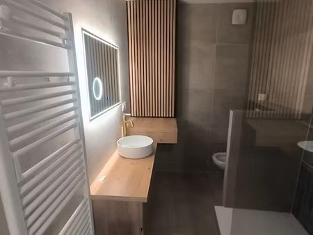 appartement t3 la talaudière zone molina