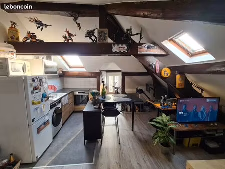 studio 25m² carrez / 50 m² au sol