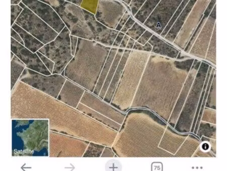 terrain en nature de landes