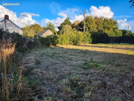 terrain constructible