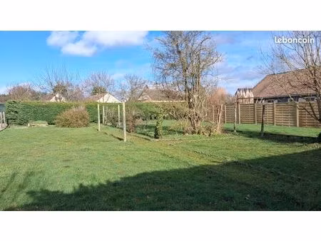 terrain constructible