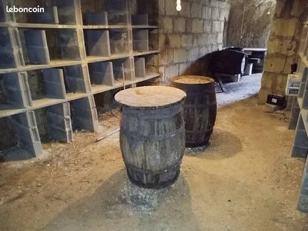 cave troglodytique en tuffeau avec 1 300 m² boisés attenants – bien rare