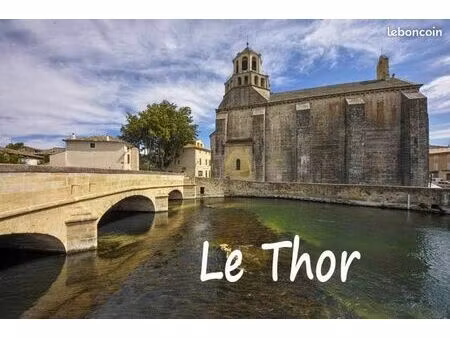 fonds de commerce pizzeria à emporter – le thor (84)