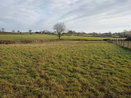 terrain constructible