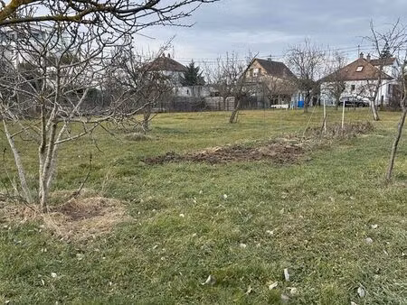 terrain 550 m² illzach