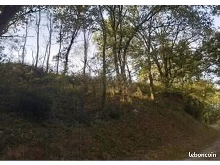 terrain 4 639 m² castres