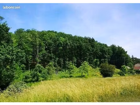 terrain 2 028 m² graulhet