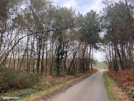 2 terrains boisés nc (châtaigniers et pins) situés à cournon 56200 (proche du terrain de f
