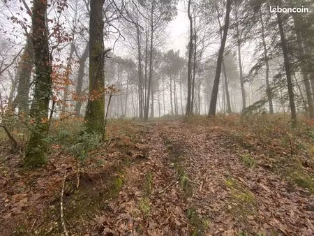 bien agricole 19150 m² inzinzac-lochrist