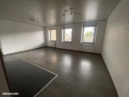 appartement t2 65 m² + cave + 2 parkings privatifs – résidence calme – idéal frontalier / 