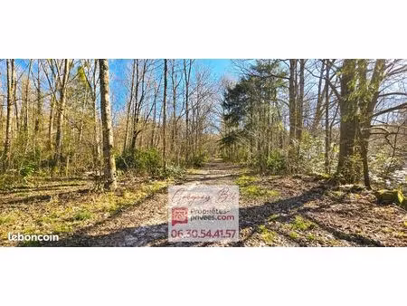 forêt 96 594 m² la ferte sous jouarre