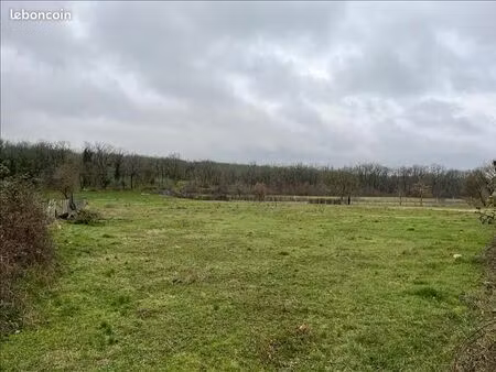 terrain 4 155 m² lalbenque