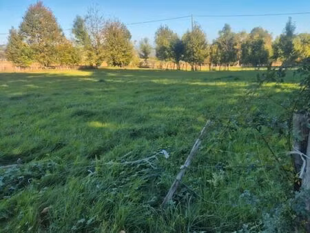 terrain plat en bordure de route