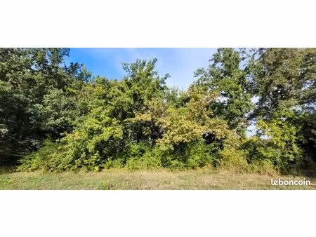 terrain entrechaux 760 m2