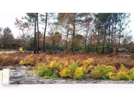 terrain 817 m² saint magne