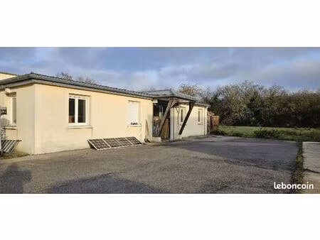 local commercial 175 m²