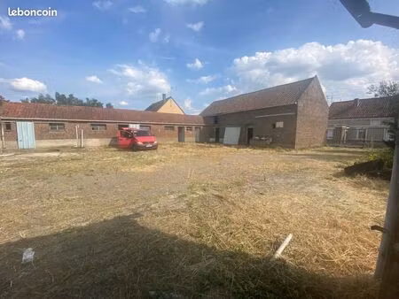 grange et longère à rénover à vieux condé (nord)