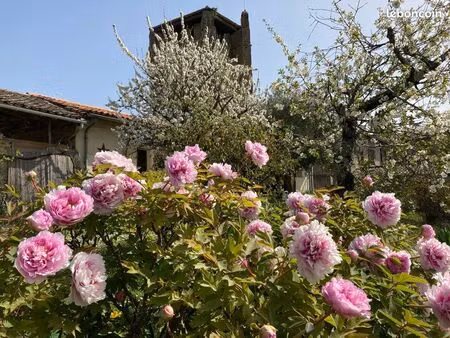 lavaur 9km maison 5 pièces 107m2