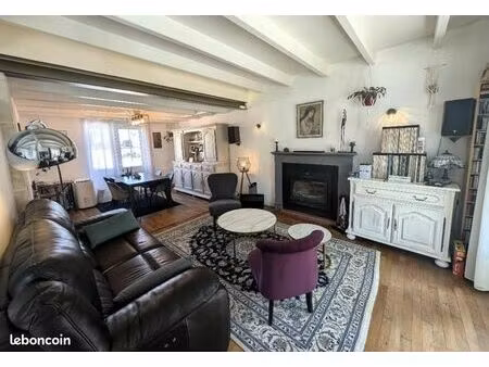 grande maison familiale au coeur du bourg de bonneuil-matours