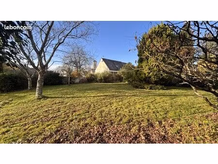 terrain constructible