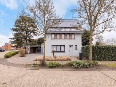 maison à vendre à tongerlo € 469.000 (ljzxq) - heylen vastgoed - geel | zimmo