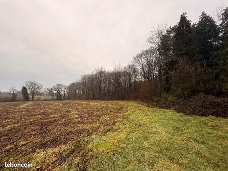 terrain boisé 4300m2- guilliers