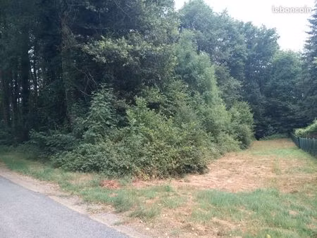 terrain constructible