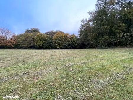 terrain 1 200 m² royeres