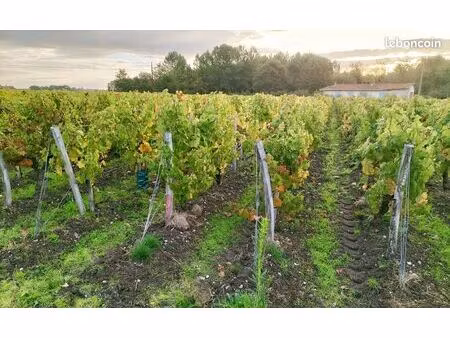propriété viticole aoc médoc de 1.5 hectares à la campagne
