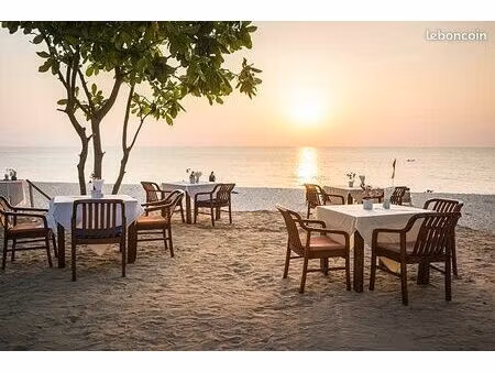 restaurant 150 m² canet-en-roussillon