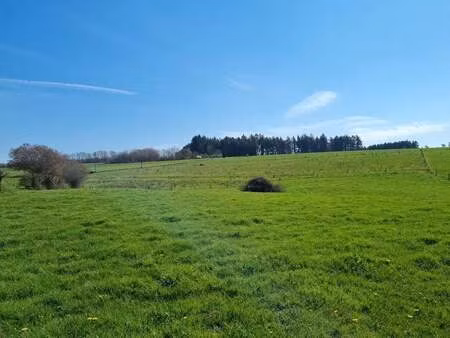 terrain à vendre à la roche-en-ardenne € 110.000 (lk17f) - ard'immo | zimmo