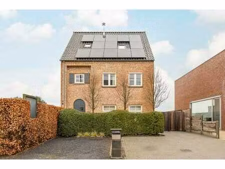 maison semi-ouverte avec 5 chambres à hoogstraten