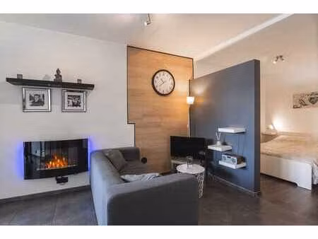 appart 1 chambre meuble avec jardin - tres bon etat