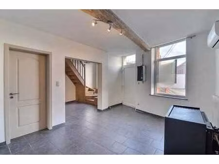 lumineuse maison 3 facades avec jardin