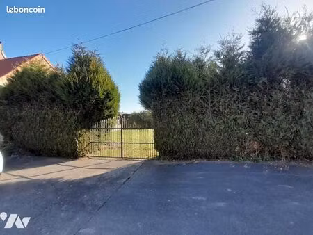 terrain 2500 m² renty