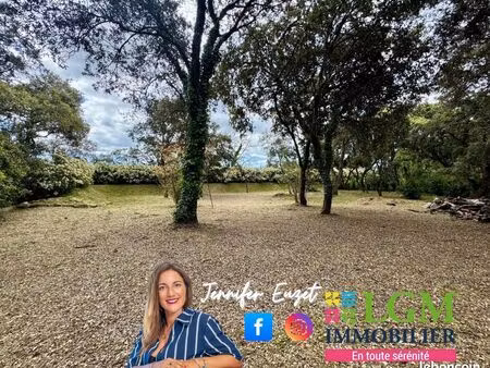 terrain 1 429 m² castries