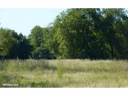 terrain 398 m² carrieres sur seine