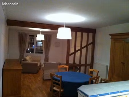 appartement 57m2 hyper-centre