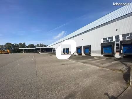 local industriel 28 000 m²