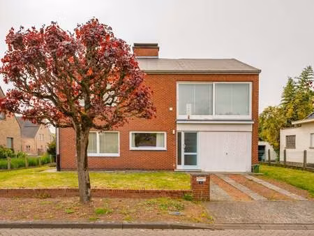 maison à vendre à elewijt € 250.000 (ljztv) - van gorp & arnauts | zimmo