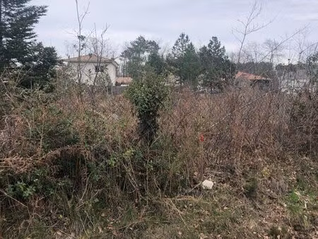 terrain constructible