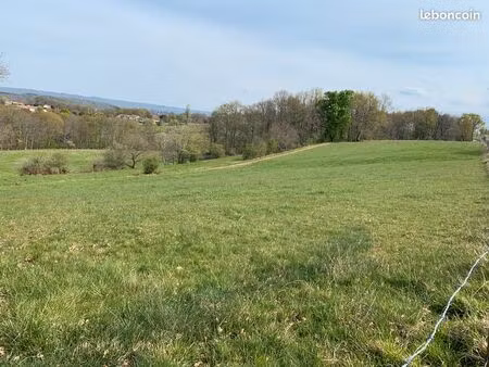 terrain constructible