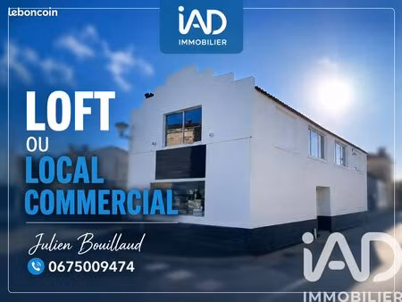 immeuble 196 m² l'île-d'elle
